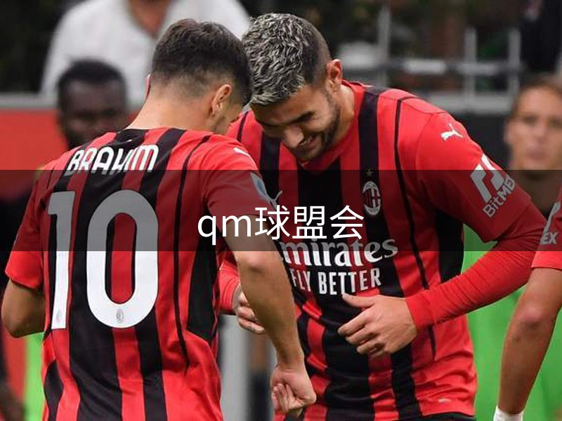 网站概况